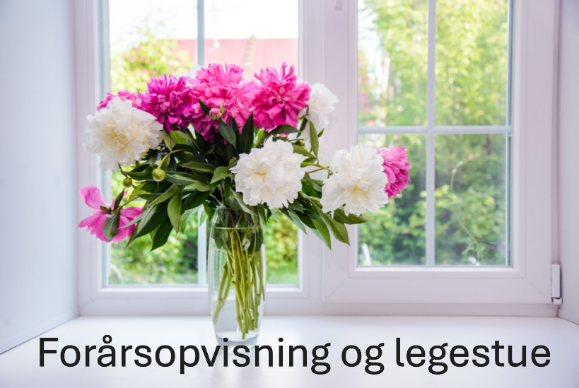 opvisning, legestue, folkedans, Den lille Vendelbo, dlv, dans, folkemusik