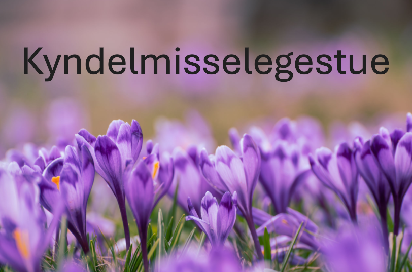 legestue, folkedans, Den lille Vendelbo, dlv, dans, motion